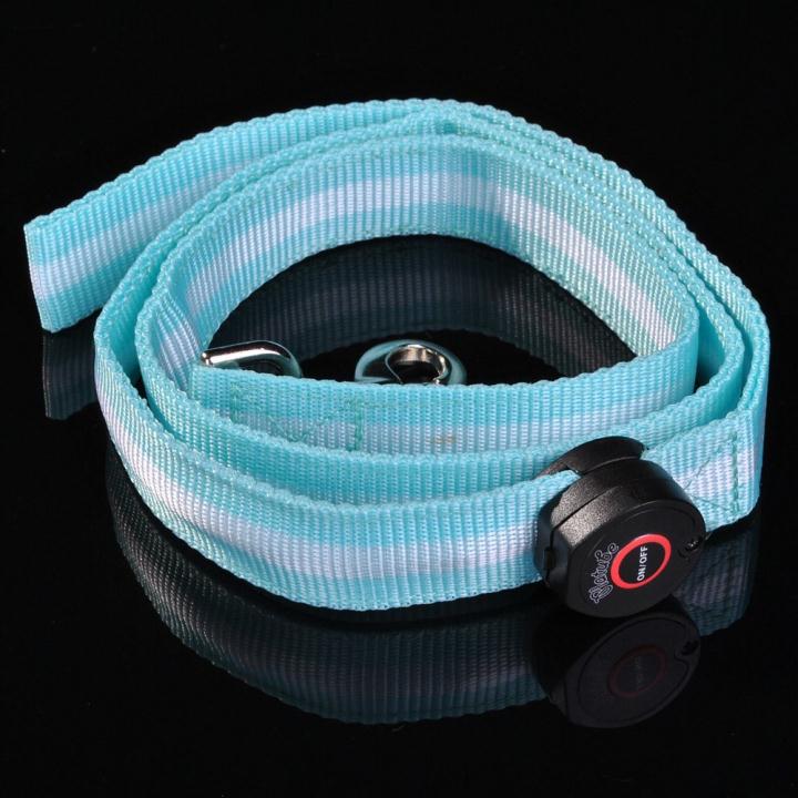 LED Flashing Light Safety Glow Leash Lead Blue